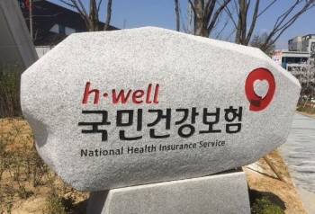 �Ǻ����� �����뱸 �ű� �޿����� ��û ����