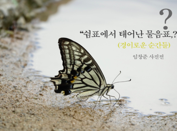 ������ �ڸ����� ���۵� ������ ������ ��������